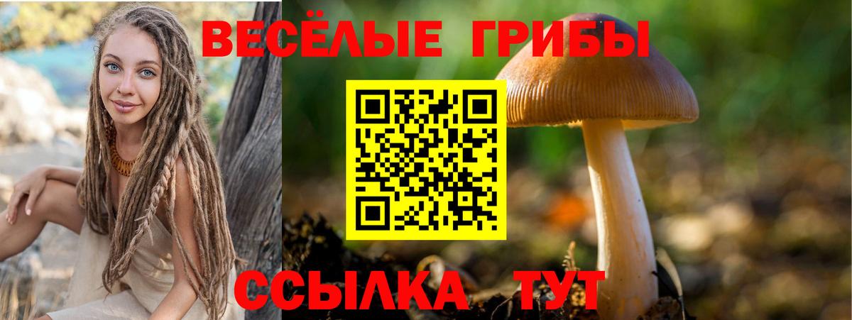 Михайловск  Псилоцибиновые грибы прущие грибы  Вход с VPN 